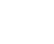 Evolution games at Bitsend Casino